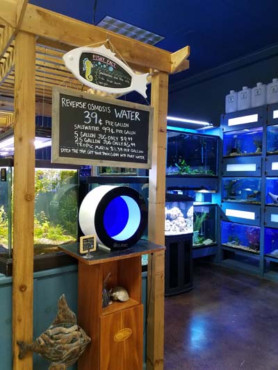 Odyssey Pets Fish Room